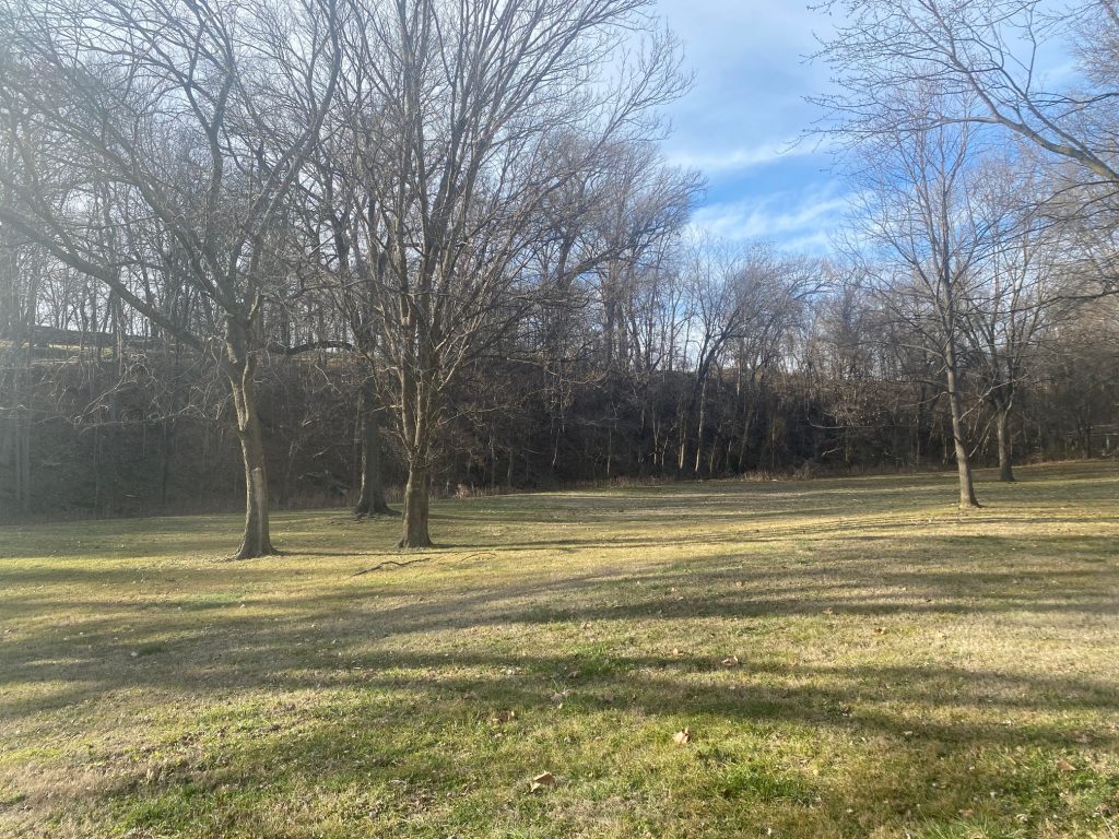 Park like grounds - winter view.